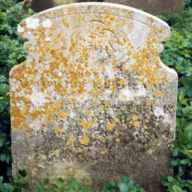 Henry & Sarah Rudram